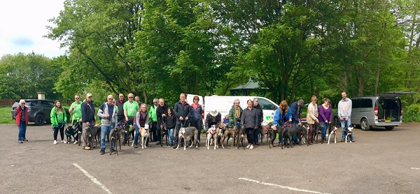 Branch walk at Baggeridge Country Park. 31 hounds and their families enjoyed a walk in the spring sunshine. The raffle raised £114.30. Kennel hounds James and Shane behaved impeccably.