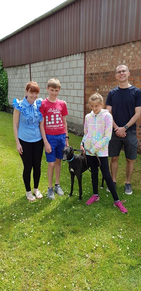 Sugar joined the Cartwright family, she has kept her kennel name as they thought as she is so sweet it suited her.