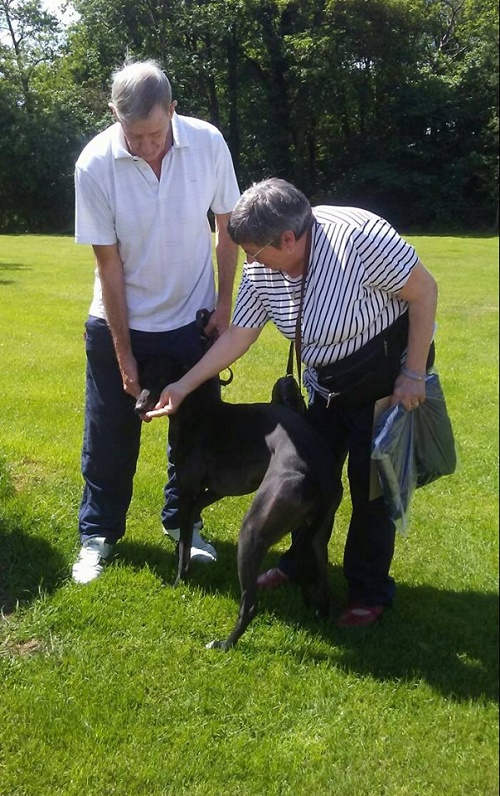 Swift became Katy today as we waved her off to her new life with the Caledcott family