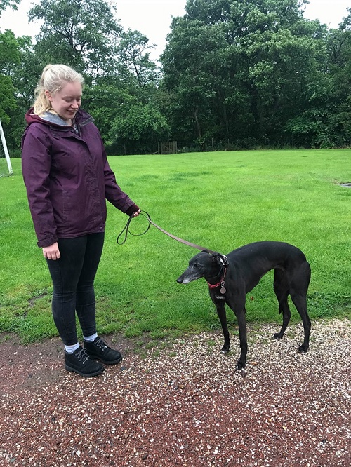 It was Joanie’s lucky day as she changed her name to Romy and left a rainy kennels for her forever home with Ellie and her springer spaniel