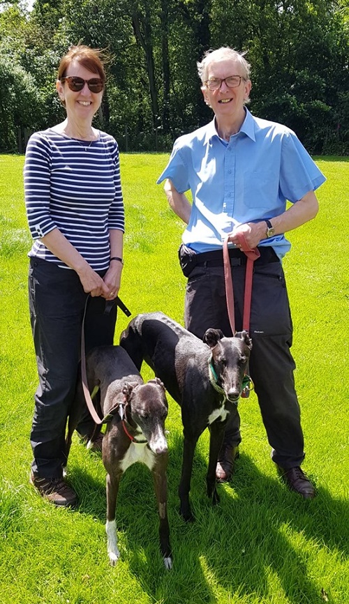 Volunteers Philip and Janet brought Ollie to the Kennels to find a new companion. Sweet girl Sox was the lucky one he chose and they were soon together in the back of the car. Sox will be much loved by the King family