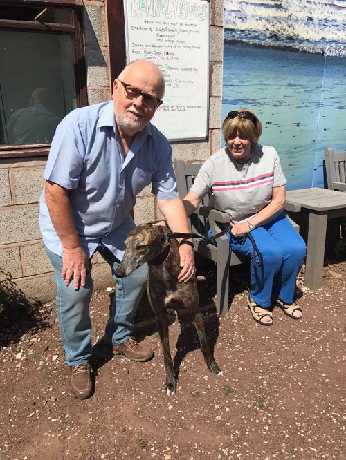 Pretty little Megan shortened her name to Meg as she left a very sunny kennels to join the Allsopp family in Leicestershire