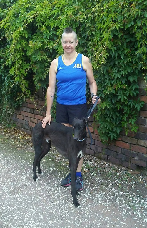 Our lovely volunteer Michelle chose handsome black hound Cody to join her houndie family. Now called William he was soon in the car and on his way home