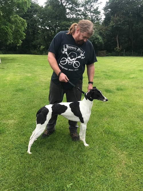 Pretty girl Quest kept her name as she left the kennels for her forever home with the Barlow family