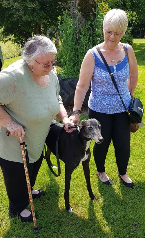 Today Orla changed her name to Sally as she went up the motorway to live with May and her family