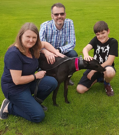 the Buck family collected Haven to take her to her new home as their pet. She had no trouble jumping into the car as she started her new adventure