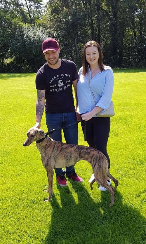 The Barwell family collected Mabel to be a partner for their other greyhound Mac