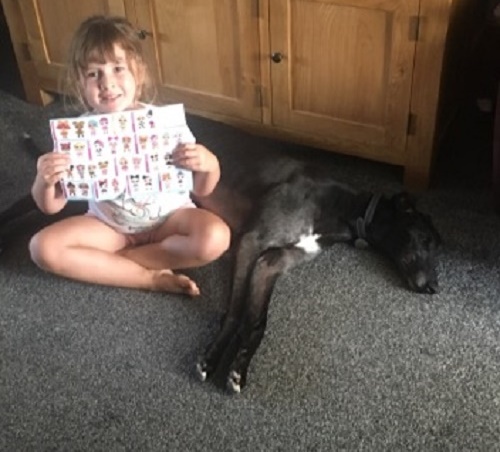 Happy Hounds in Homes September 2019