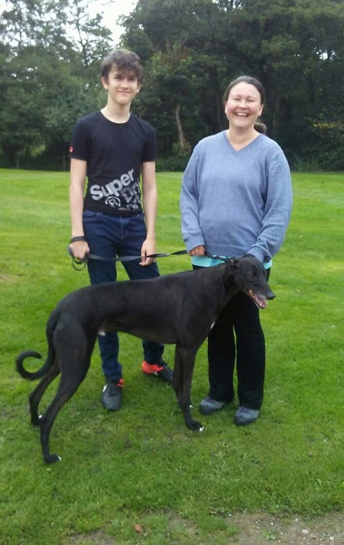 There was much joy at the kennels as our longest stayer Spencer finally found his forever home with Leanne and her family. Good luck lad!