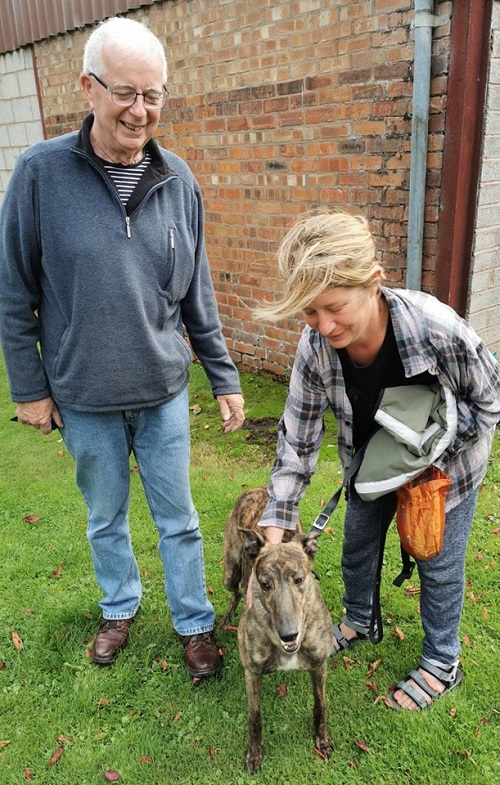 Pretty brindle girl Peachy shortened her name to Peach when she joined the Connor family.