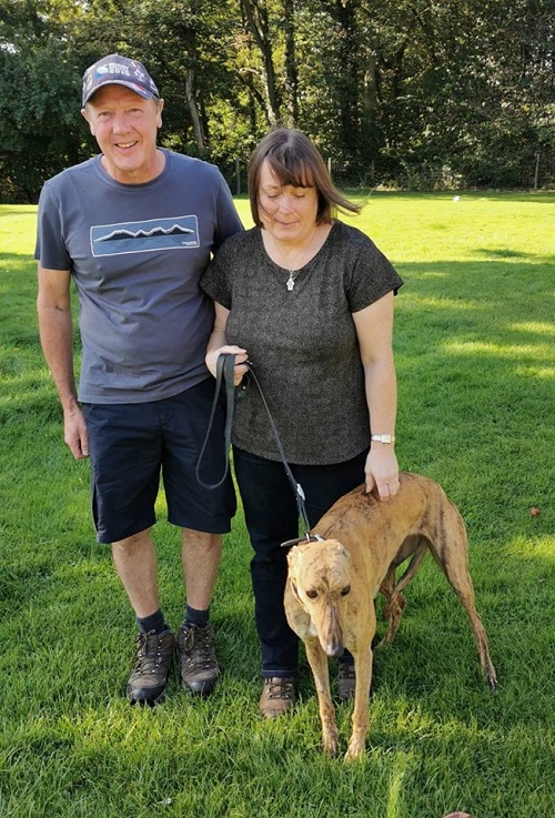 Sweet brindle girl Grace left us for her new home with the Matthews family