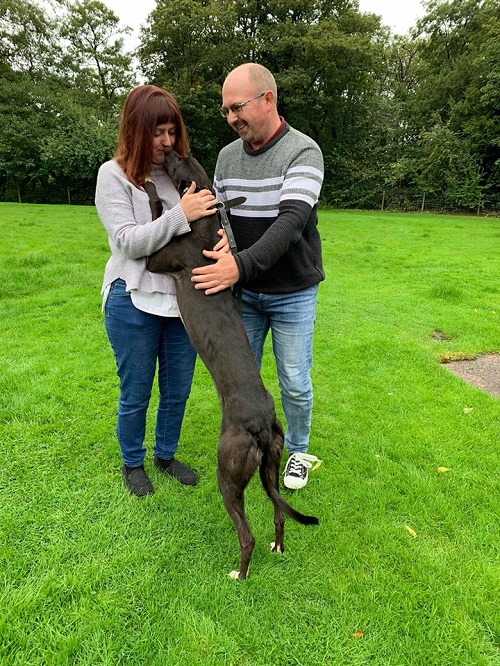 It didn’t take long for Muffin to fall in love with her new owners! She changed her name to Leaf as she left for her new life with the Loftus family and their existing hound Kat