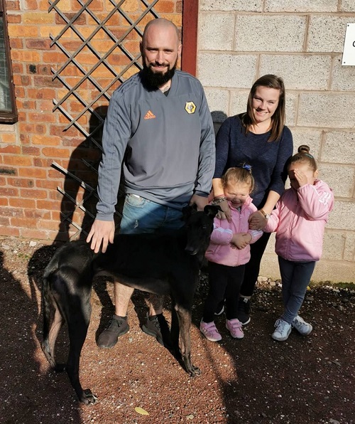 The Davies family came to the kennels to collect Snickers, he has changed his name to Thor and quickly jumped into the car.