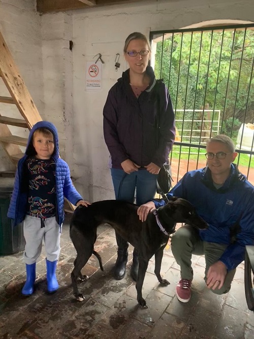Cheekie changed her name to Cookie as she left a very rainy kennels and joined the Rose family 