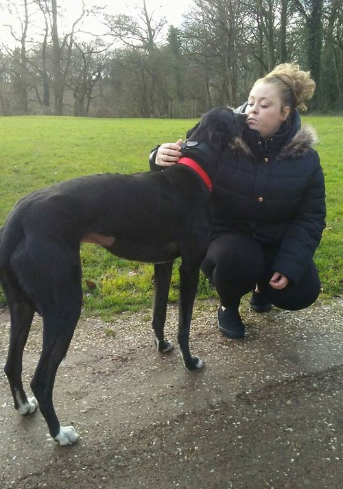 Handsome boy Denzil changed his name to Dash and couldn't wait to give new 