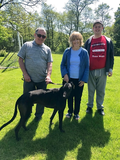 Ace kept his name as he left the sunny kennels to join the Jeffries family and their little dog