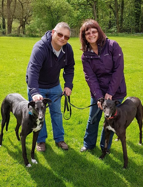 The Marsh family brought Monty to the kennels today to find him a companion. He fell for Coco who has kept her kennel name when she left to join him in his home