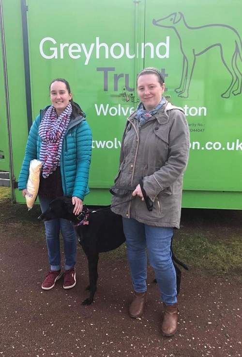 Pretty little Cola changed her name to Bella as she left the kennels for her new life with a very excited Samantha