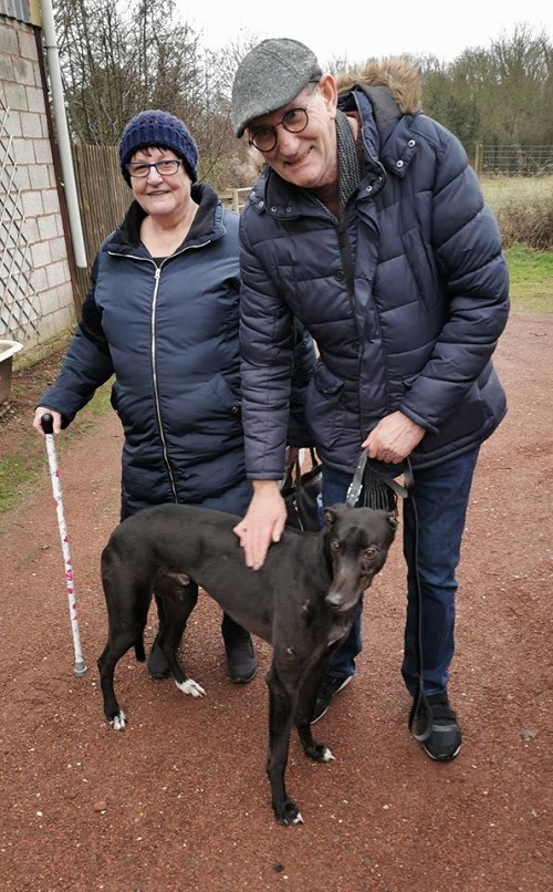 Cupid changed his name to Woody where he left the kennels to join the Wood family