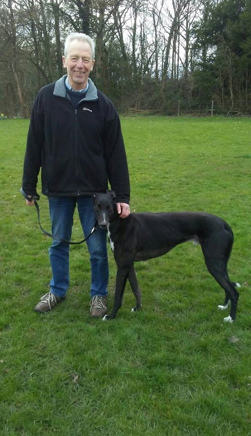 Handsome hound Dasher kept his name as he left the kennels. He was soon in the back of the car and off to his new home with the Perkins family.