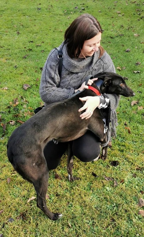 Flake changed her name to Stella when she left the kennels with Hayley for her new loving home.