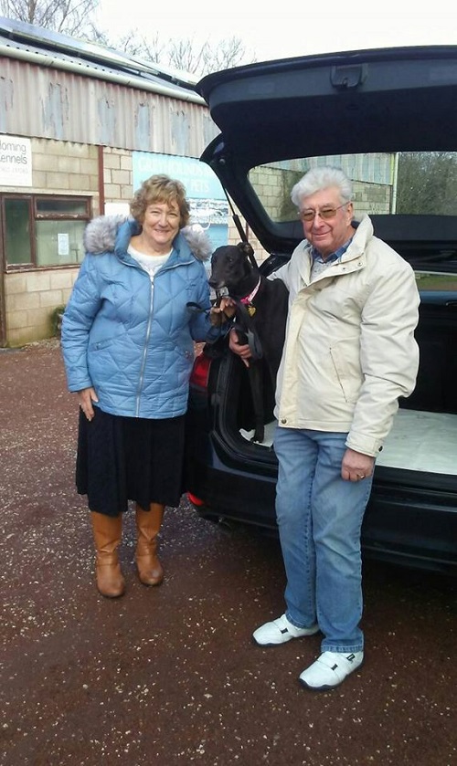 Lovely hound Flossie kept her name as she left us to join the Dowell family. She couldn't wait to be on her way and soon jumped in the car!