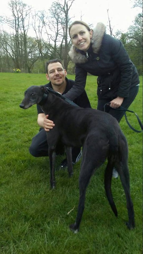 Lucky hound Herbie changed his name to Ollie as he left with his new family 