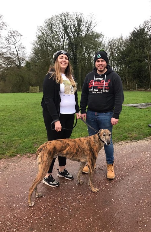 Kings lucky day finally arrived as our longest stayer left the kennels for his new life with Lucy & her partner