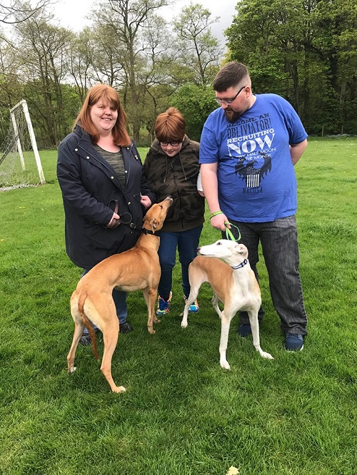 Pretty little fawn girl Lois changed her name to Penny as she left us to live with the Foyle family and their lurcher Sandy