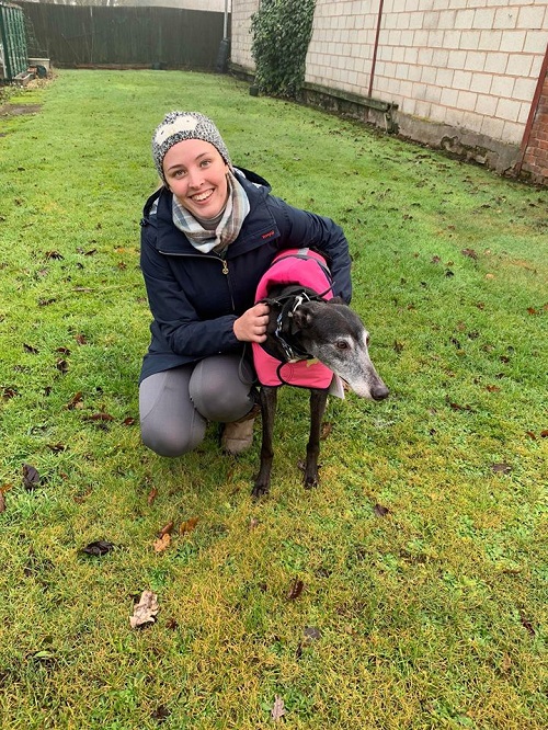 Our gorgeous little Louise changed her name to Lily as she left the kennels for her new life with the Thompson family