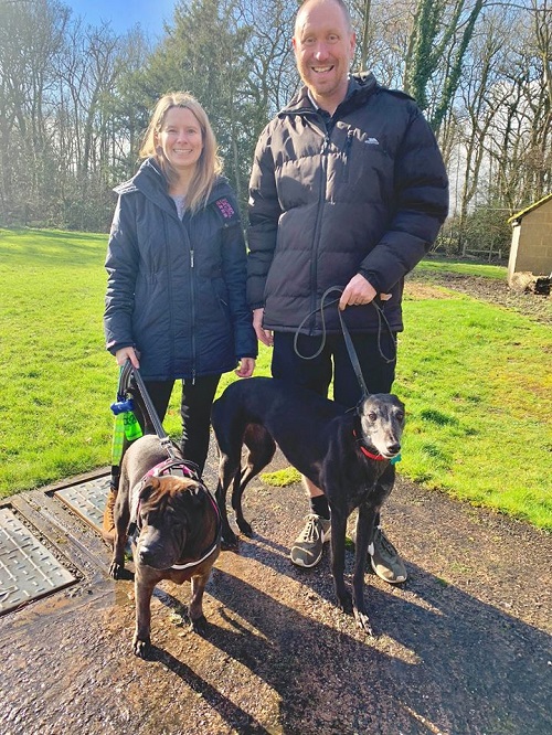 After seeing her photos on our social media, the Marsh family fell in love with our older lady May and took her home to live with them and their shar pei Sheila