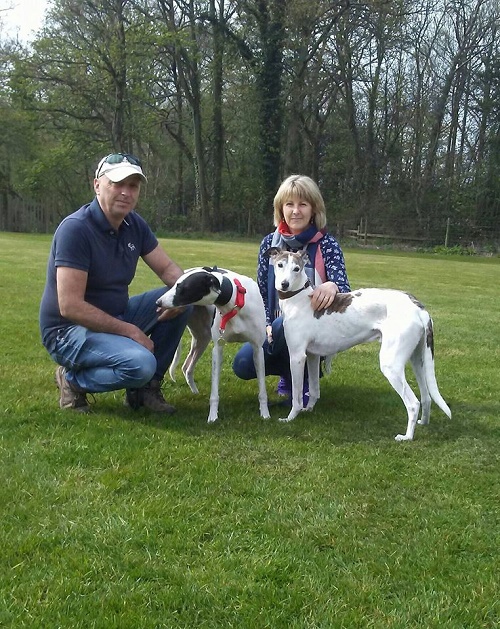 Lucky Mia kept her name as she left a sunny kennels with the Lewis family .. have fun with your new brother!