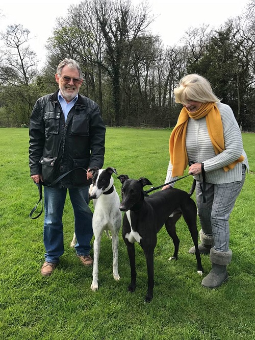 The Gibb family came to the kennels looking for two new companions after losing their previous hounds. Lucky lads Spot and Diesel were chosen, and after a quick wash n go, they left us for their forever home together