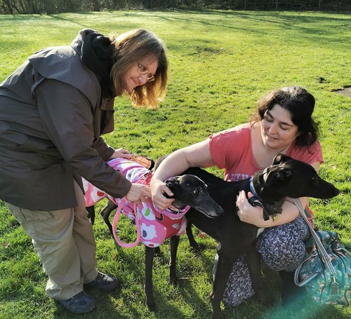 Felicity came to meet Stan and decided that he could live with her. So Rebecca soon completed the paperwork and took him to his new home