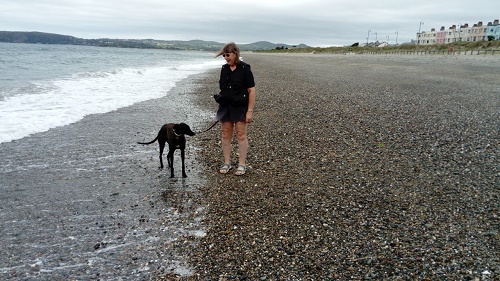 Here is a picture of Stella (Fluffy) enjoying the beach. She had no issues with paddling in the sea and has met lots of other dogs!